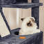 206cm H Cat Tree-57341743-105628841