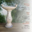 Ceramic / Porcelain Pedestal Birdbath-4462997