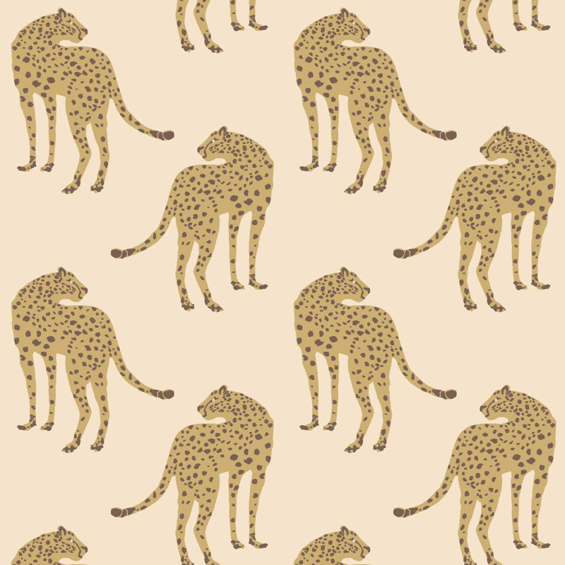 Prowling Cheetah - Desert Sand Wallpaper