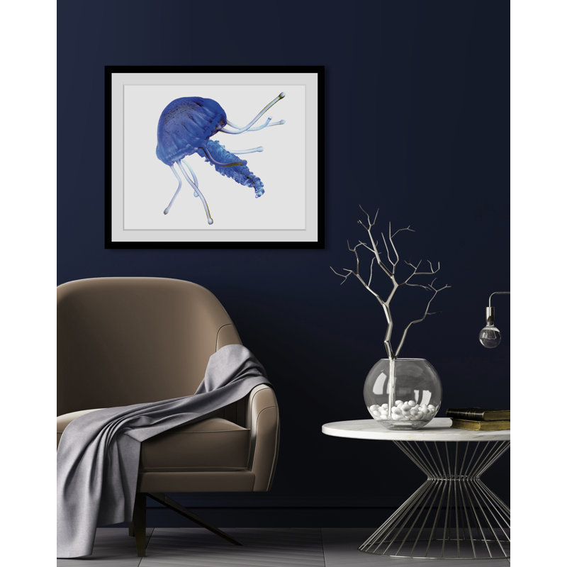 Jellyfish - Single Picture Frame Print