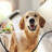 Hansgrohe Dog Shower, 3-Spray, 1.75 GPM-68812313
