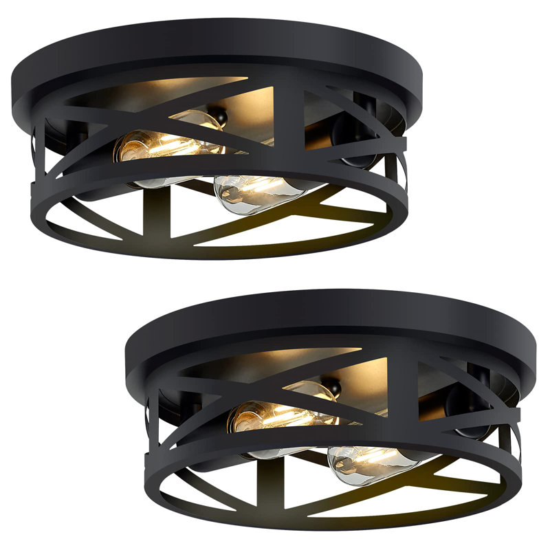 Craspedia 2-Light Drum Farmhouse Flush Mount, Matte Black