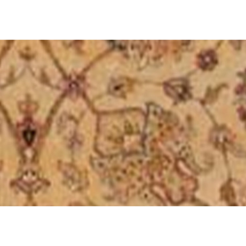 Wool Area Rug in Gold