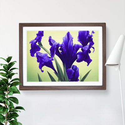 Evolving Iris Flowers - Framed Print