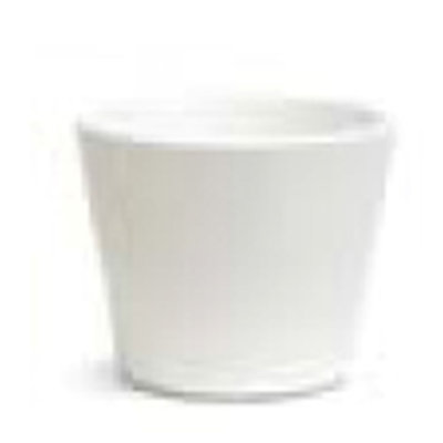 D'Arcy Ceramic Pot Planter