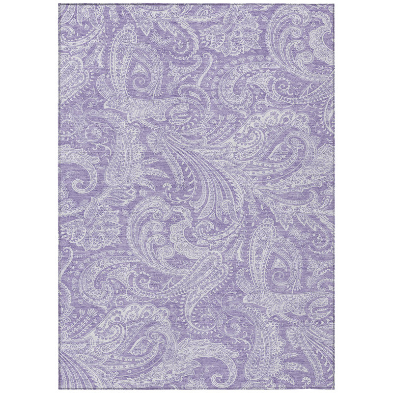 Cresley Paisley Indoor / Outdoor Rug, Rectangle 3' x 5'