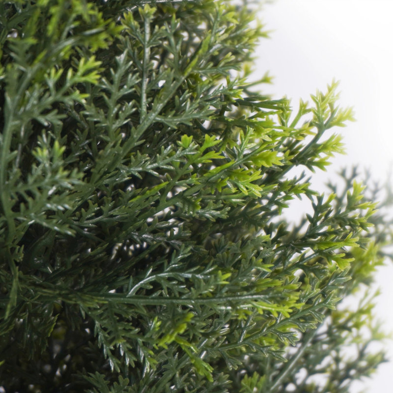 5FT Artificial Cedar Tree, 2