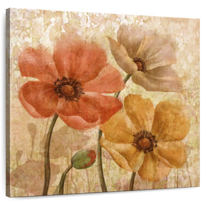 Harnek Poppy Allure I