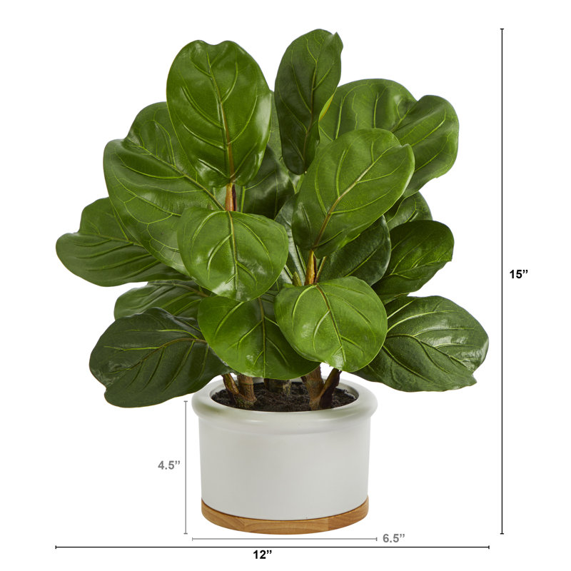 Figuier à feuilles artificielle en pot, H 15 po x l 12 po x P 12 po