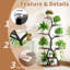 Plant Stand - Set of 9