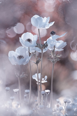 Wrapped Canvas Print, 81.28 cm H x 121.92 cm W