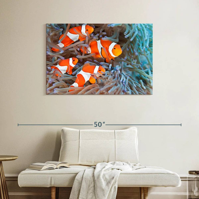 Crowle Clown Fish, 26" H x 39" W