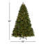 Sapin de Douglas de 7,5 pi Downswept Sapin de Douglas avec lumières cosmiques bicolores à DEL Downswept