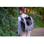 Adventure Cat Carrier Backpack