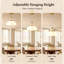 1 - Light Antique Brass Pendant