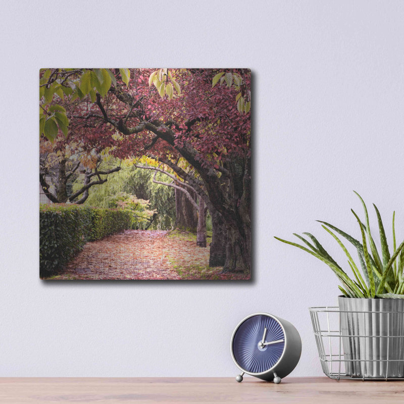 «Arch of Trees» par Colby Chester, art mural en métal, 12 po x 12 po, H 12 po x l 12 po