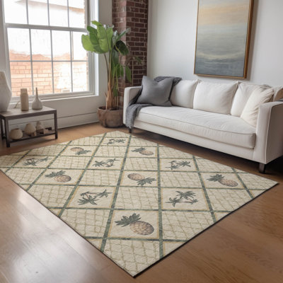 Premium Machine Washable Bradenburg AMF162 Beige Rug