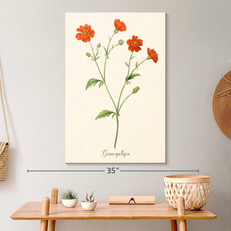 Geum Quellyon, H 30 po x l 20 po