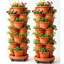 Ensemble de jardinières verticales Strawberry-125530083