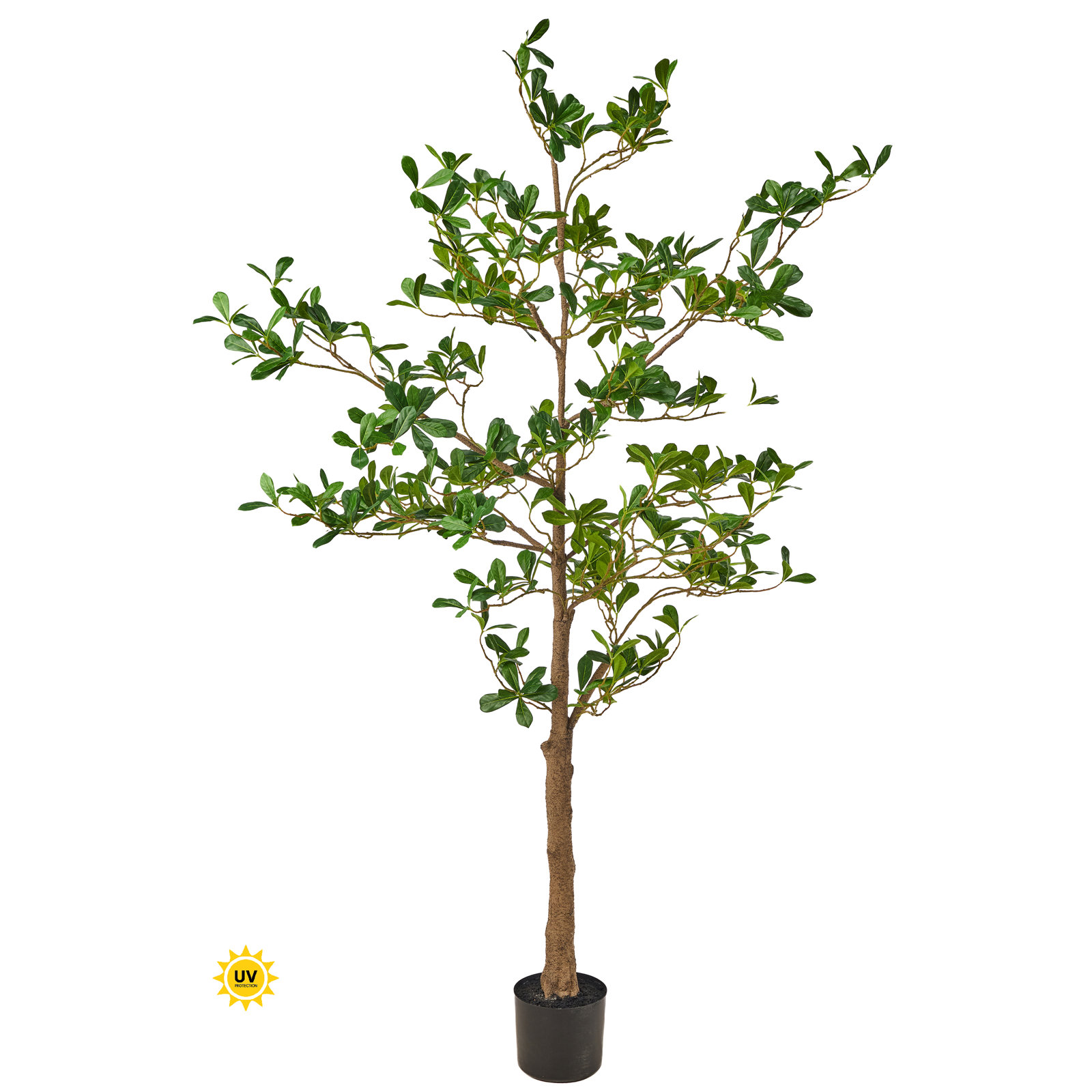 6' UV Potted Almond Tree, 72 in x 24 in