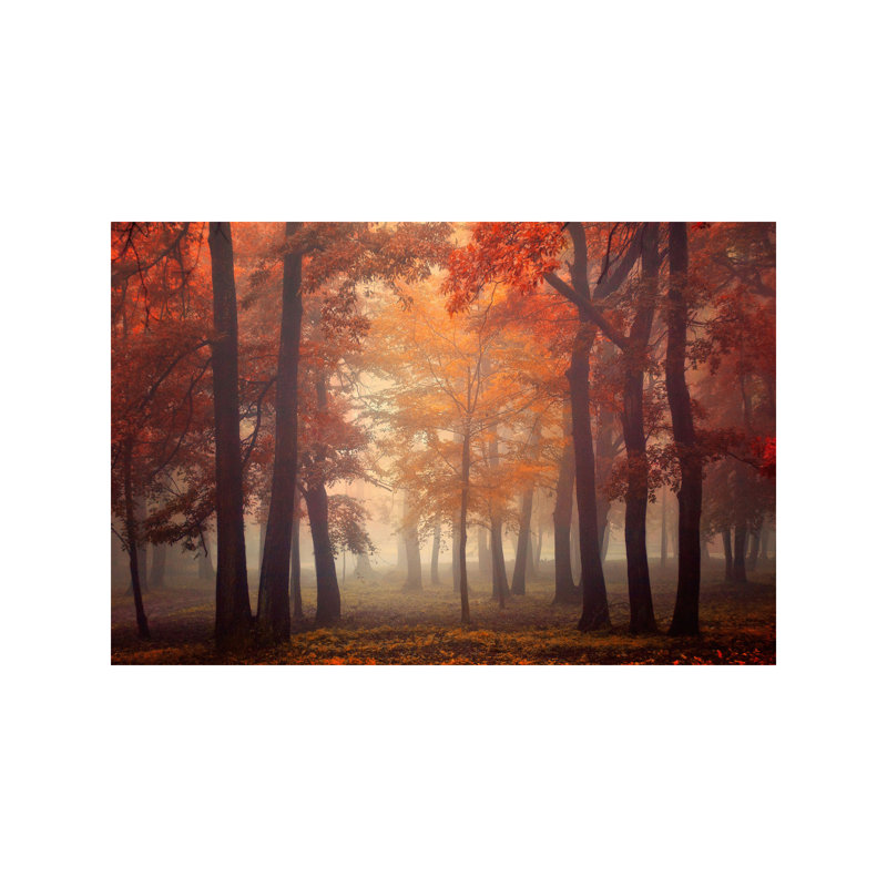 Feel by Ildiko Neer - Wrapped Canvas Print, 66.04 cm H x 45.72 cm W x 1.91 cm D