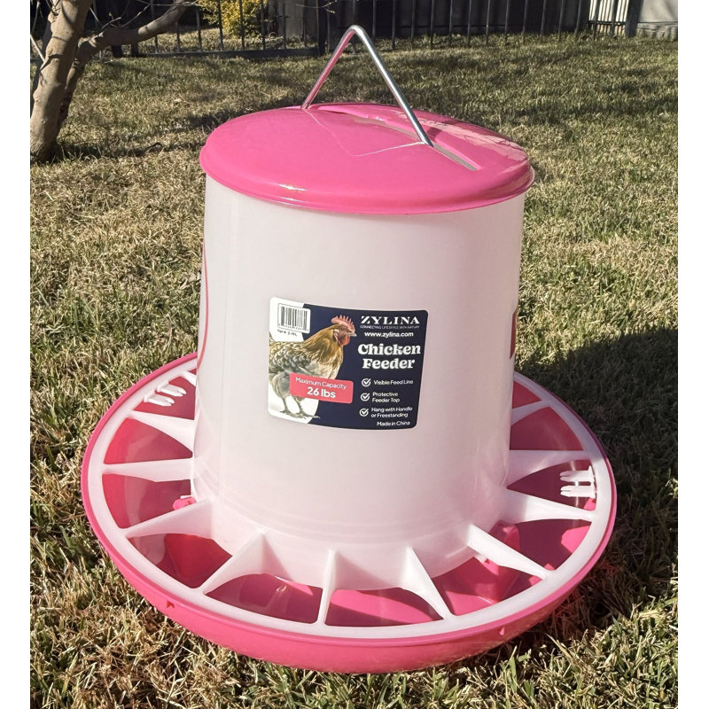 Mangeoire à poulet 25 lb - Fuchsia, 26 gallons, Rose