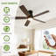Ceiling Fan-1040058581-1040058600