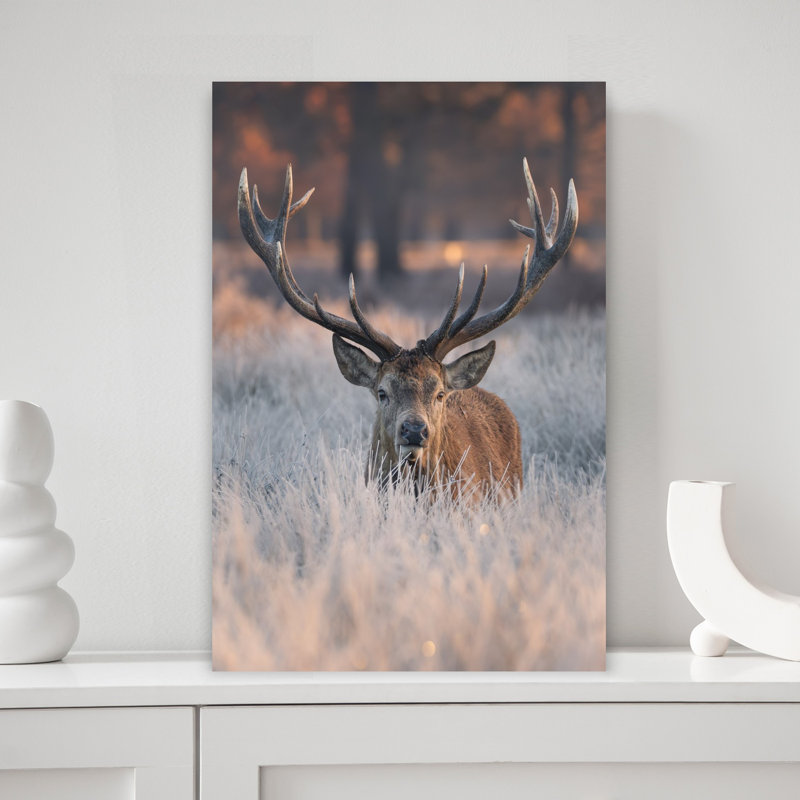 Tudor Munteanu - Wrapped Canvas Print, 45.72 cm H x 30.48 cm W