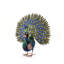 Ensemble de 3 statues de paon Hartline