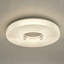 Cheylee Plastic LED Flush Mount-263585973