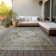 Fresnel Washable Oriental Indoor / Outdoor Rug