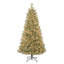 The Holiday Aisle® Arcadia Cashmere Pine Tree with Clear Lights-1868634748