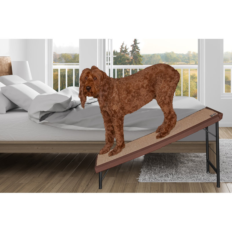 Rampe pour animaux 23,5 po