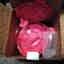 Customer photo 4 of 4