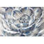 Fleur grise et bleue - reproduction botanique encadrée pour la décoration intérieure-963900733-963900729
