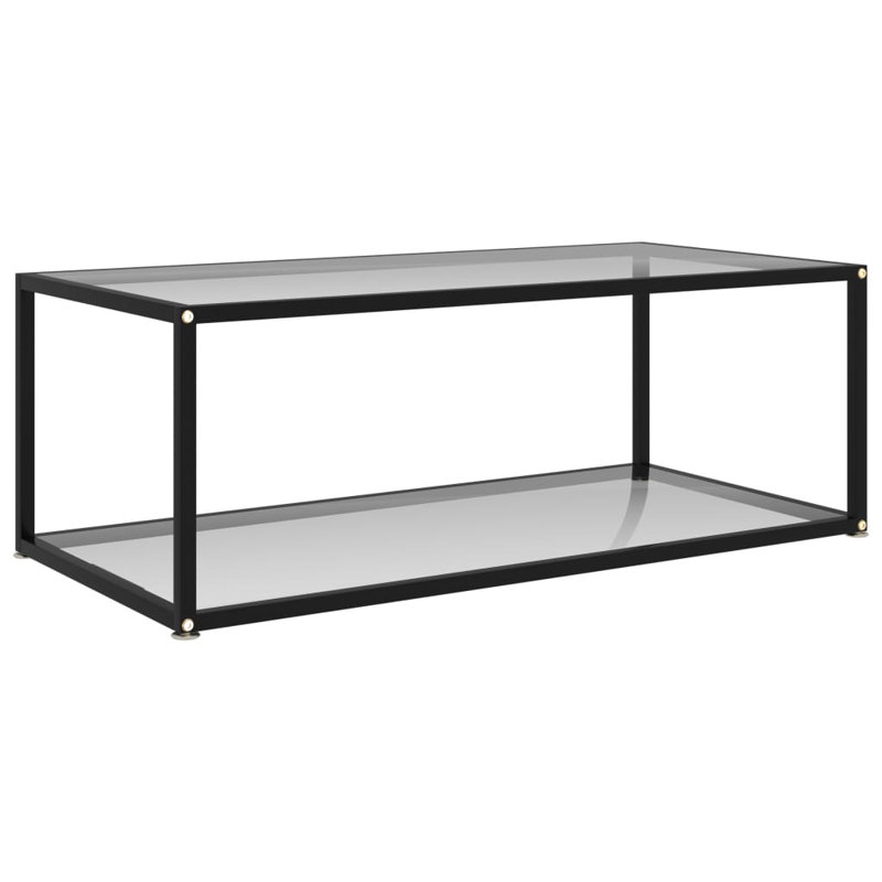 Frame Single Coffee Table with Storage, Transparent, Transparent/Black, 13.8" H x 39.4" L x 19.7" W