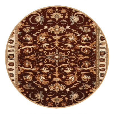 Machine Washable Turkish Brown Area Rug