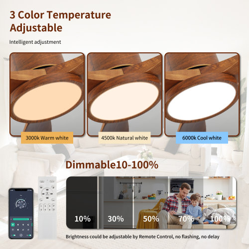 Ventilateur de plafond 52 po avec lumière