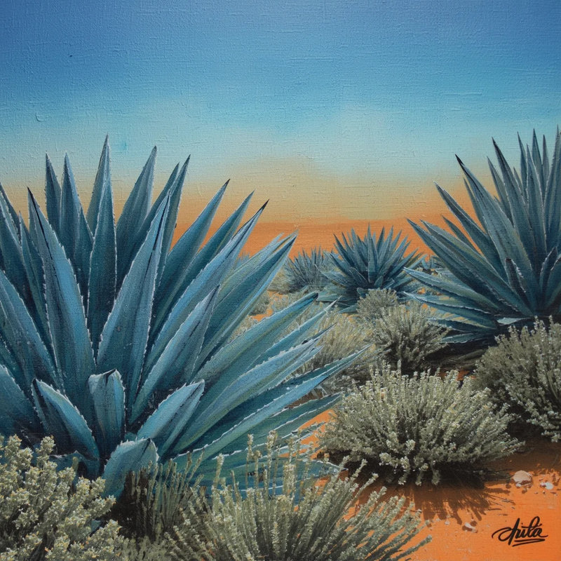 Agave Hues