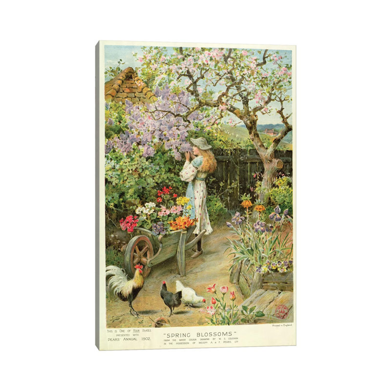 Spring Blossoms, From The Pears Annual by William Stephen Coleman - Wrapped Canvas Painting