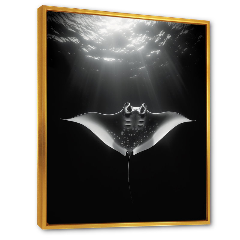 Reproduction d'art sur toile Giant Oceanic Manta, Cadre flottant doré, H 44 po x l 34 po x P 1,5 po