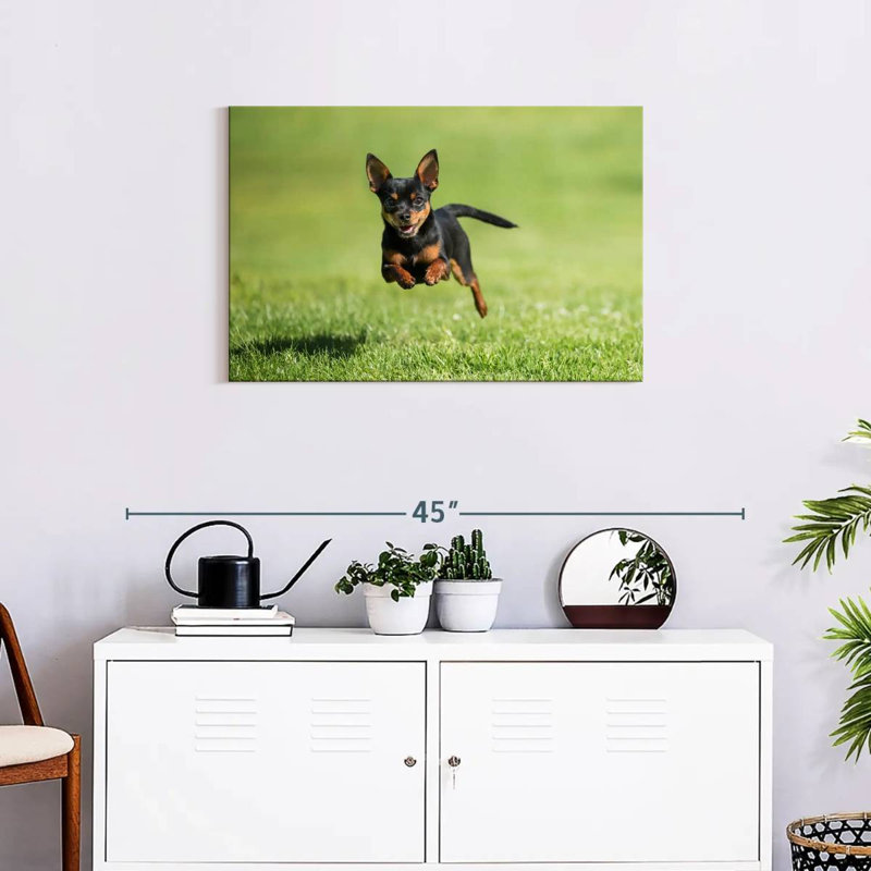 Brampt Sprinting Chihuahua, 26" H x 39" W