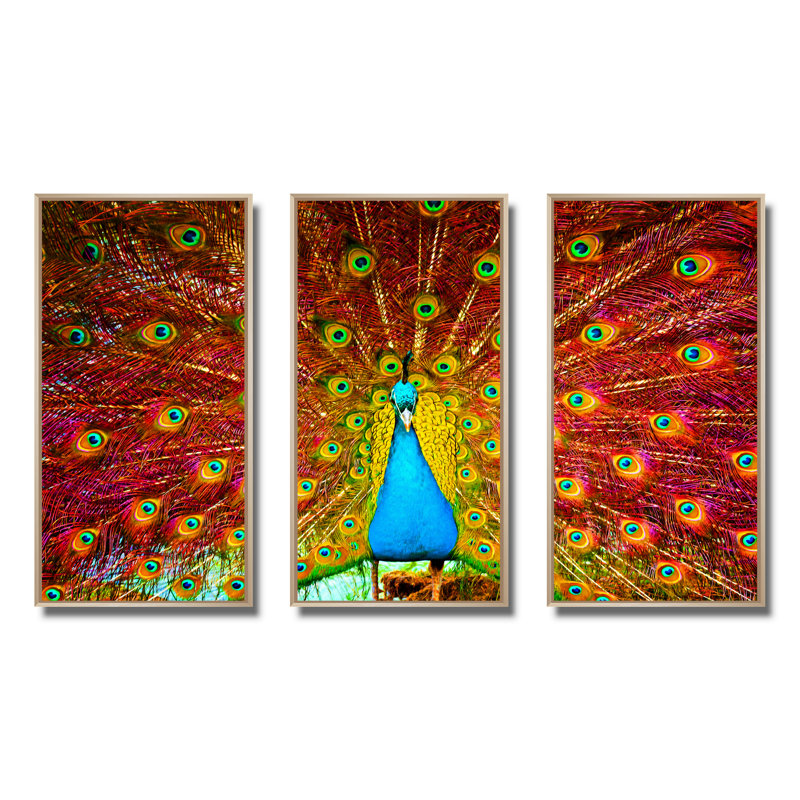 «Peacock Dancing - Animal», ensemble de 3 toiles encadrées, H 32 po x l 48 po x P 1 po, Brun