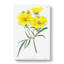 Yellow Tickseed Flowers - Wrapped Canvas Painting-55319829