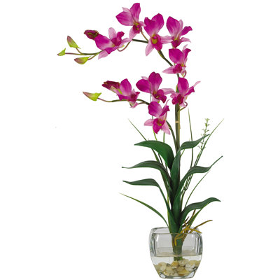 Dendrobium Arrangement