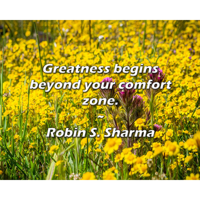 Robin S. Sharma Citation: La grandeur commence au-delà de votre zone de confort., H 15 po x l 18 po