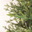 Itasca Lighted Artificial Fir Christmas Tree-1650840358
