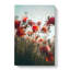 Poppy Flowers In Abstract - Wrapped Canvas-55322556