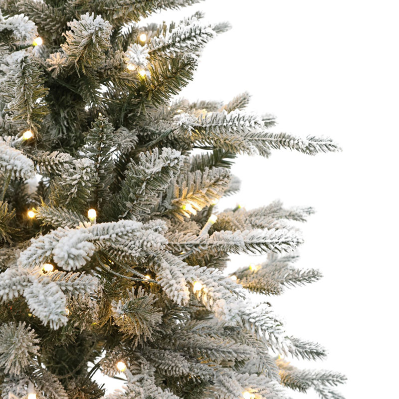 Sapin de Noël illuminé 4 pi avec sapin Fraser