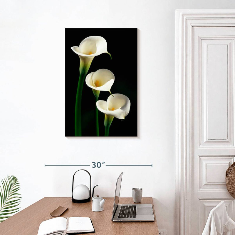 Harnek Three White Calla Lilies, 30" H x 20" W